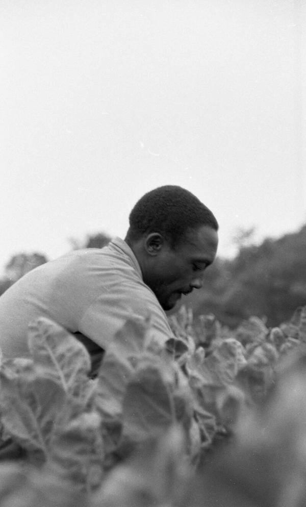 Farmer Sitting in a Field 2