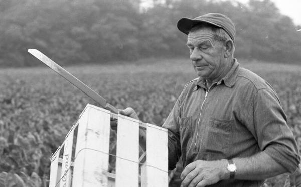 Farmer in a Field 2