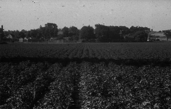 Gardner Farms, Tully, NY 
