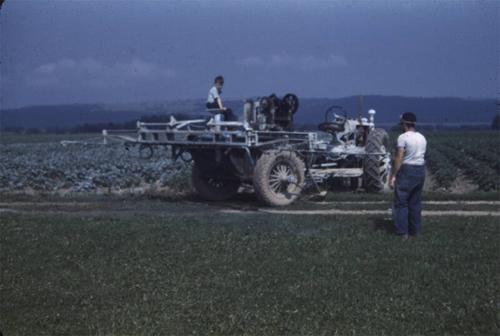 Spraying Potatoes 
