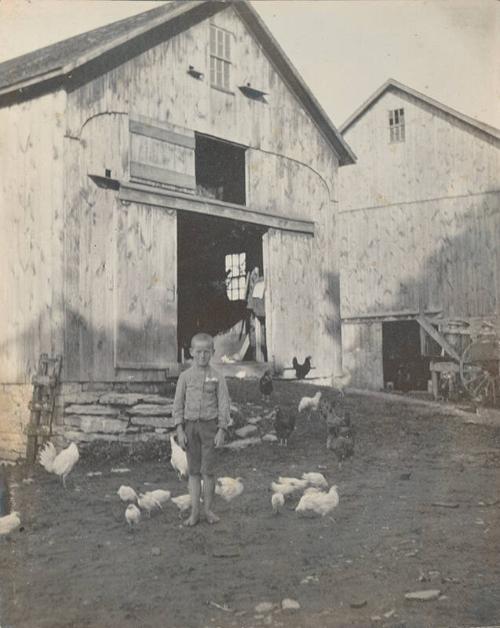 Boy with Chickens 
