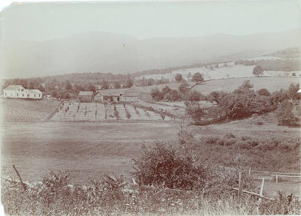 Farm in a Valley 
