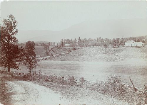 Farm in a Valley 2 
