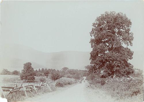 View Down a Country Road 2 
