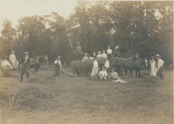 Picking Up Hay on the Doyle Farm 
