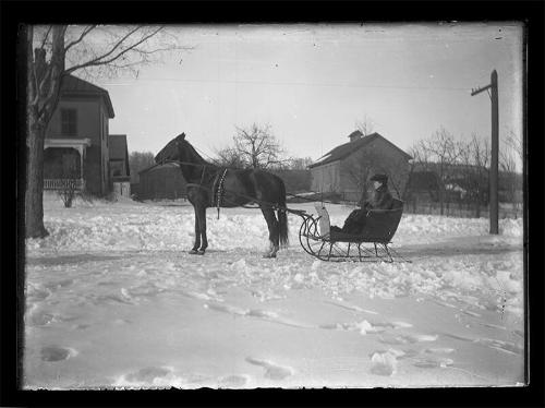 Woman in Horse-Drawn Sleigh 
