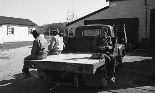 Three Farm Workers on the Back of a Truck