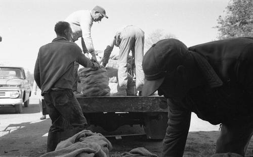 Men Load the Truck Bed