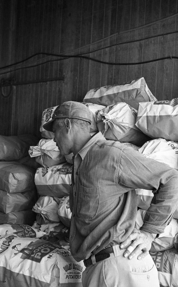 Worker Stands Beside a Stack of Potatoes