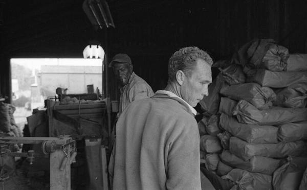 Two Workers in the Storage Area