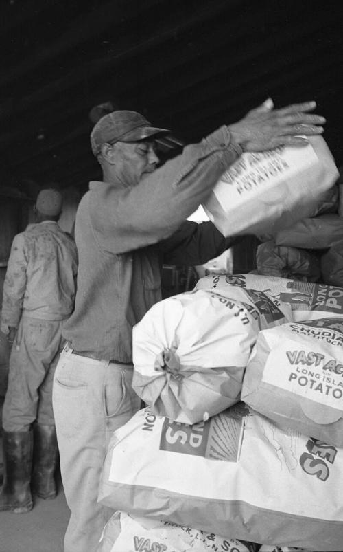 Stacking the Potato Bags