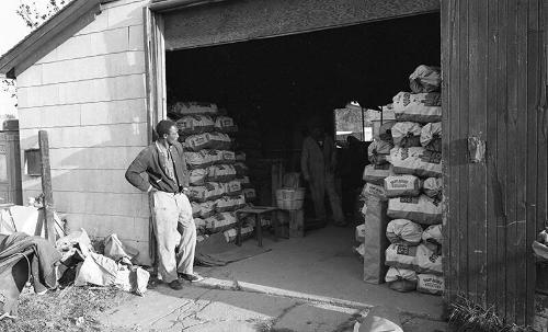 Potato Storage Stacks