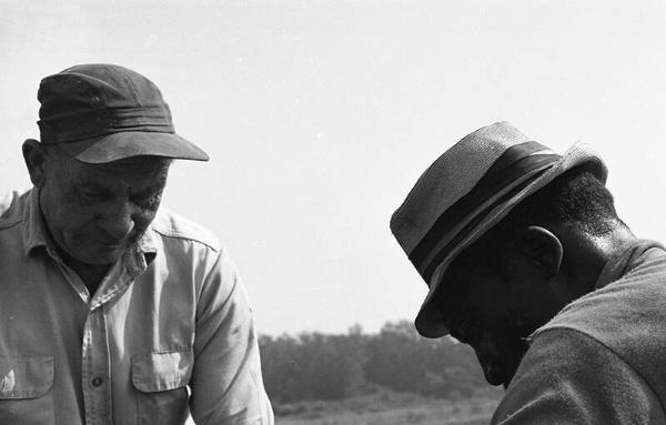 Two Men Working to Sort Potatoes