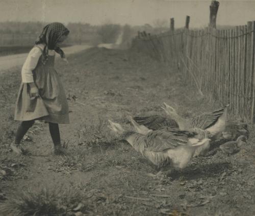 Girl with Geese 
