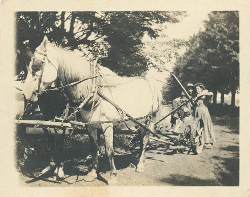 Horse-Driven Mower 
