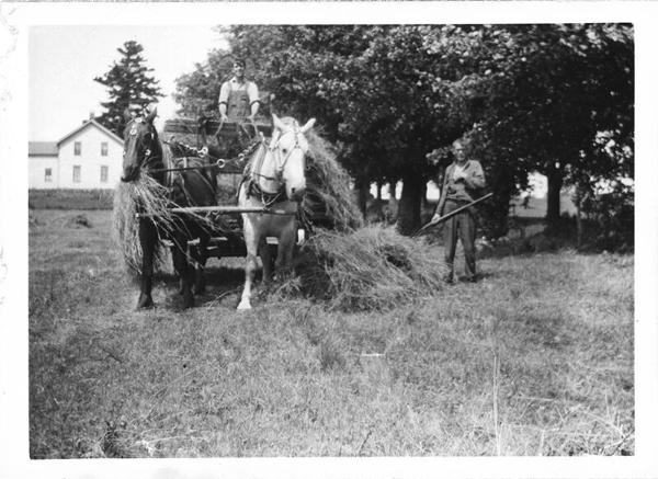 Picking Up Loose Hay 
