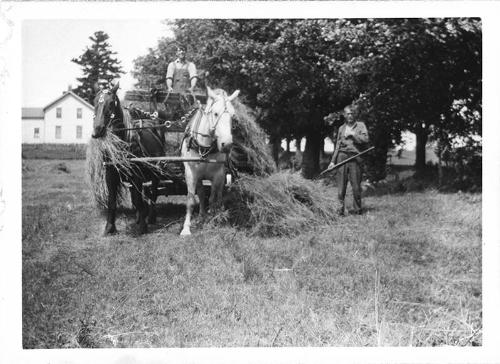 Picking Up Loose Hay 
