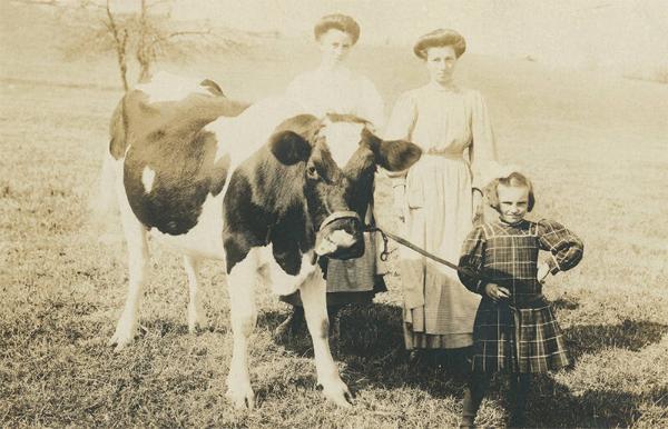 Two Women and a Girl with a Cow 
