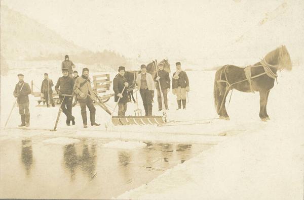 Several Men Harvesting Ice 
