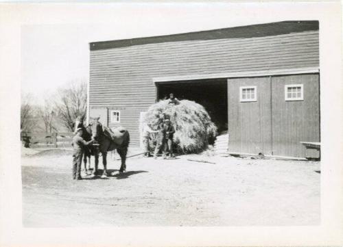 Ulster Co. 4H Club 3