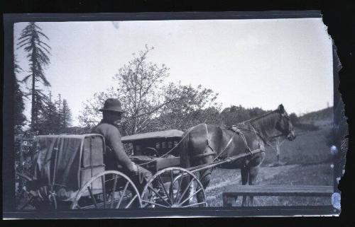 Bill Abrams Farm 8