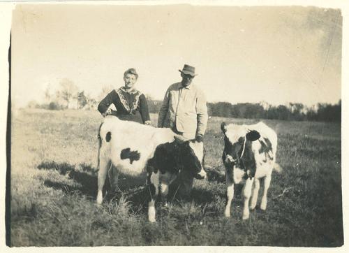 Man, Woman, and Cows 
