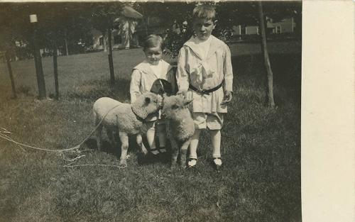 Children and Sheep 
