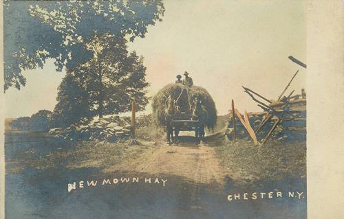 Men on Hay Wagon 
