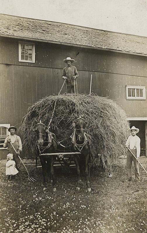 Farmers with Load of Loose Hay 
