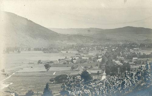 View of Naples, NY  
