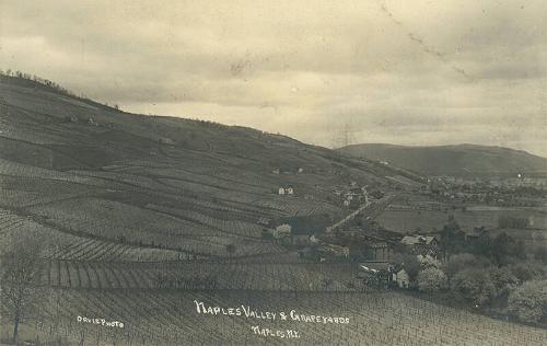 Naples Valley and Grapeyards

