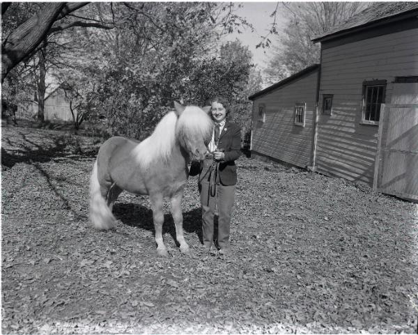 Pony Farm