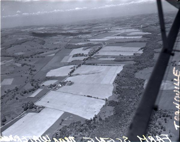 Farm Scenes
