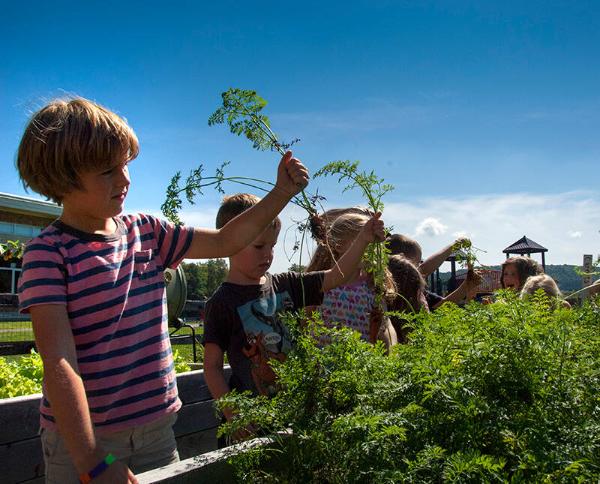 Cooperstown Elementary Kid Garden 
