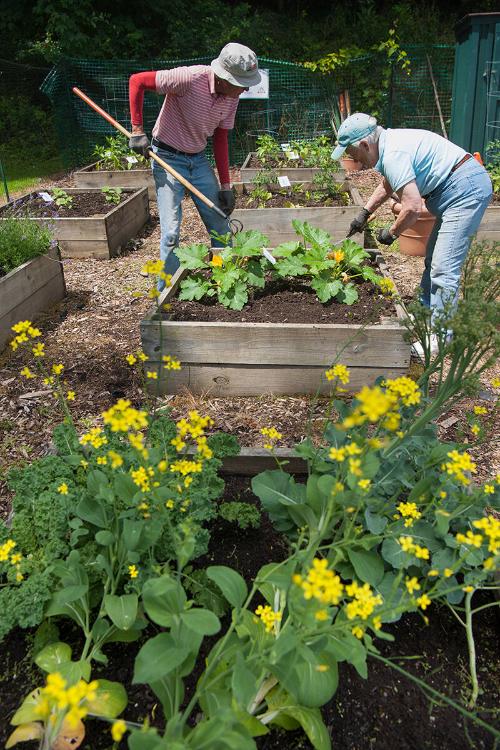 Master Gardeners 2 
