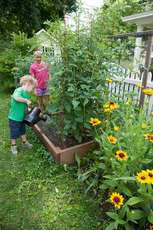 Family Garden 
