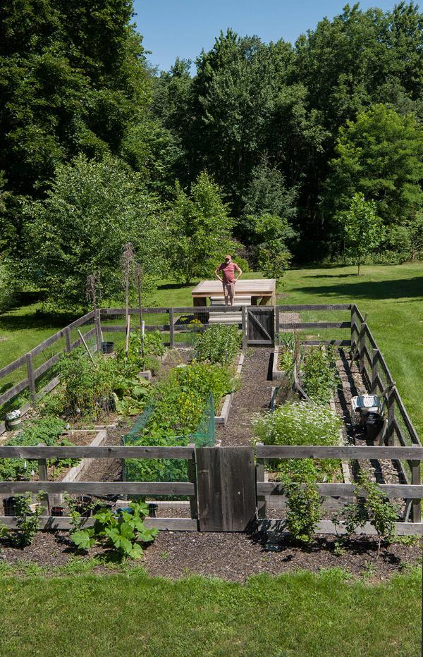 Backyard Garden 
