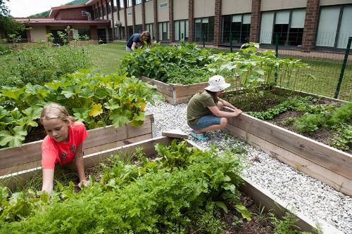 Milford Central School Garden 

