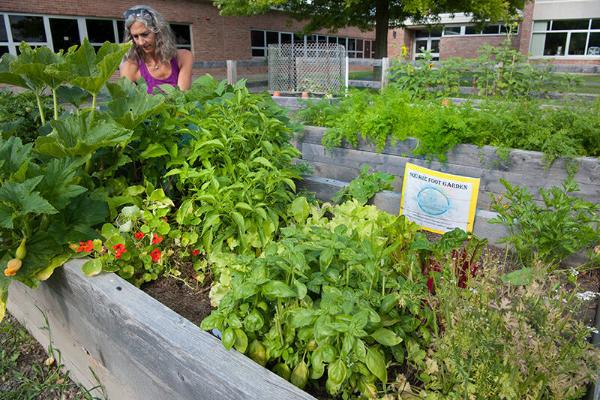 Volunteer Gardening 
