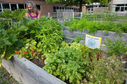 Volunteer Gardening 
