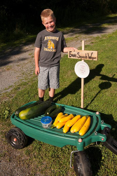 Squash for Sale 
