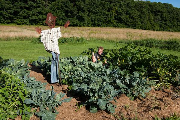Garden Scarecrow 
