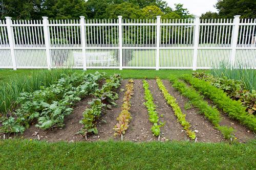 Leatherstocking Corporation Garden 
