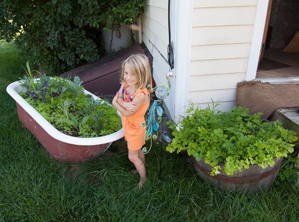 Container Gardens 
