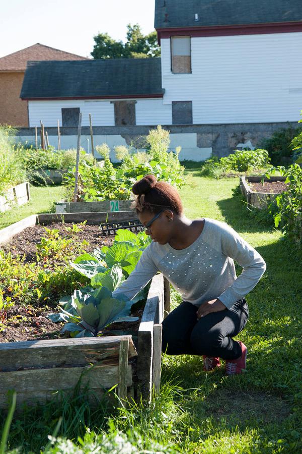Utica Community Garden 
