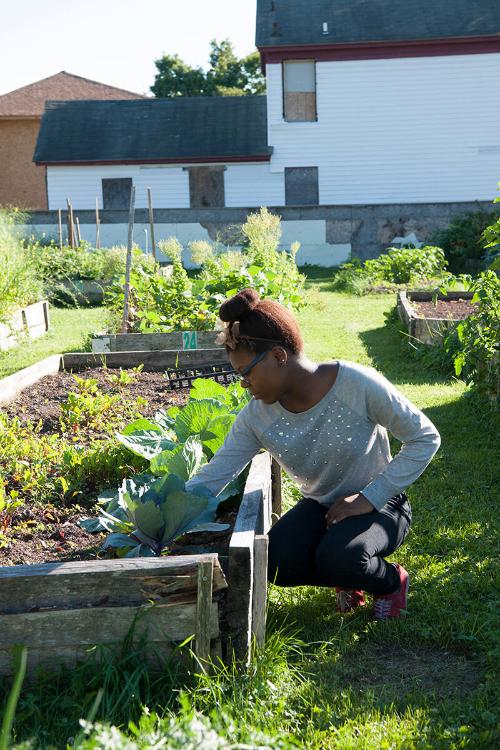 Utica Community Garden 
