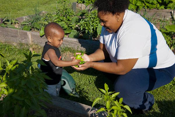 Family in a Community Garden 
