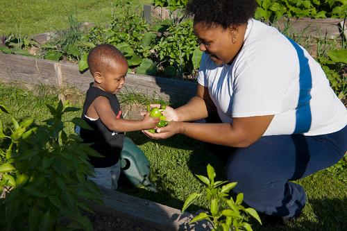 Family in a Community Garden 
