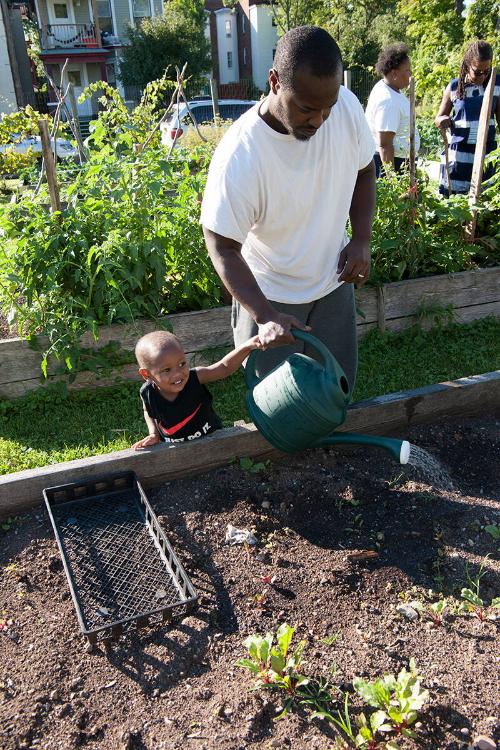 Watering the Garden 
