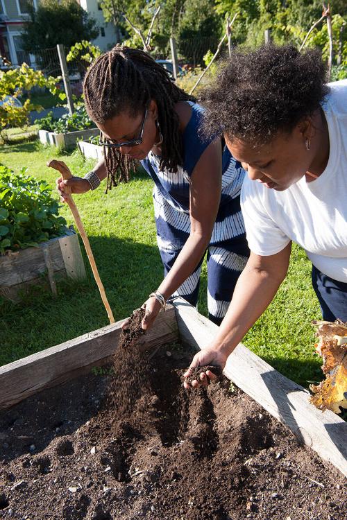 Preparing Soil 
